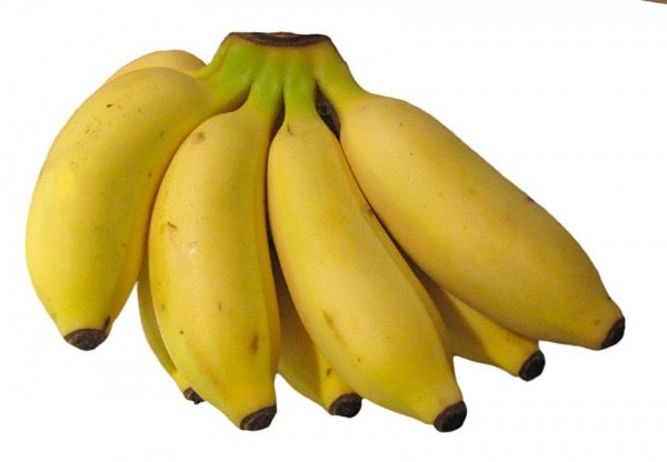 Organic Apple Bananas (7704393187551)