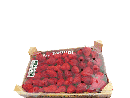 Organic Strawberries 1kg (7705093144799)